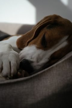 pexels-photo-11059994-b607402f