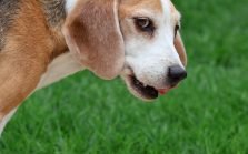 pexels-photo-28464350-07e98517