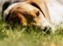 pexels-photo-5193733-1d7ccca0