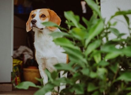 pexels-photo-5790270-dcc1e17a