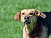 pexels-photo-7315647-adc83377