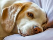 pexels-photo-9979671-2b1f2e64